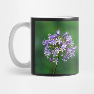 Agapanthus in Bloom Mug